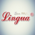 Mezhdunarodnyj obrazovatelnyj centr "Lingua"